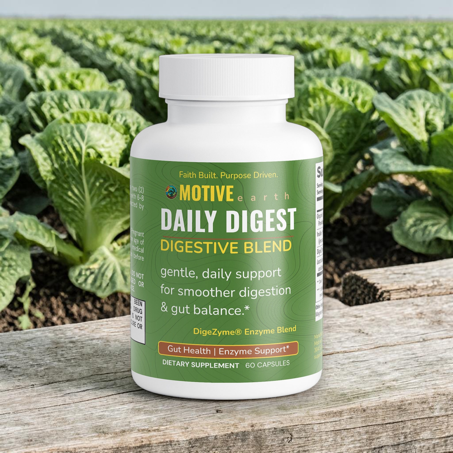 Daily Digest — Gut + Absorption Support