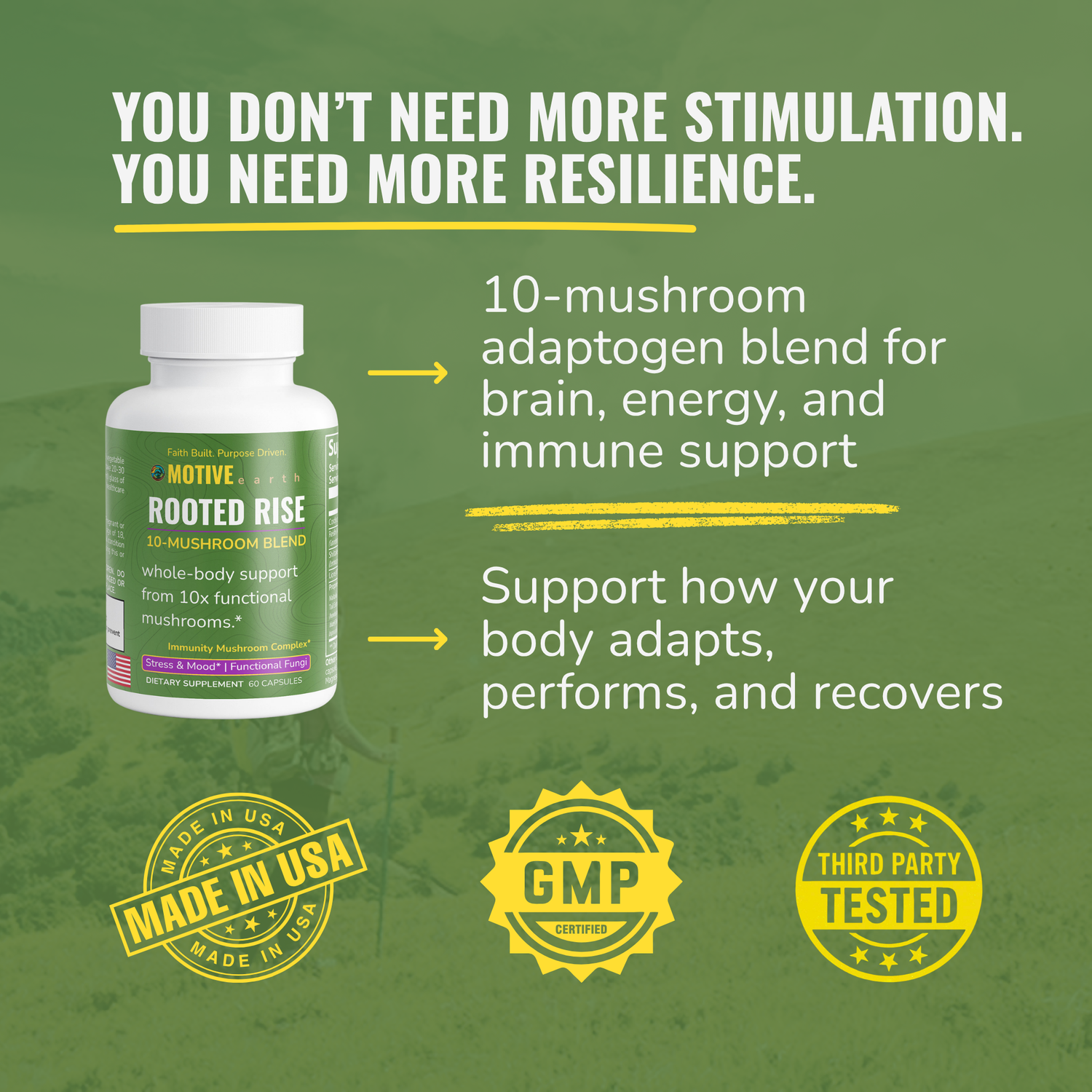 Rooted Rise — 10 Mushroom Adaptogen Blend