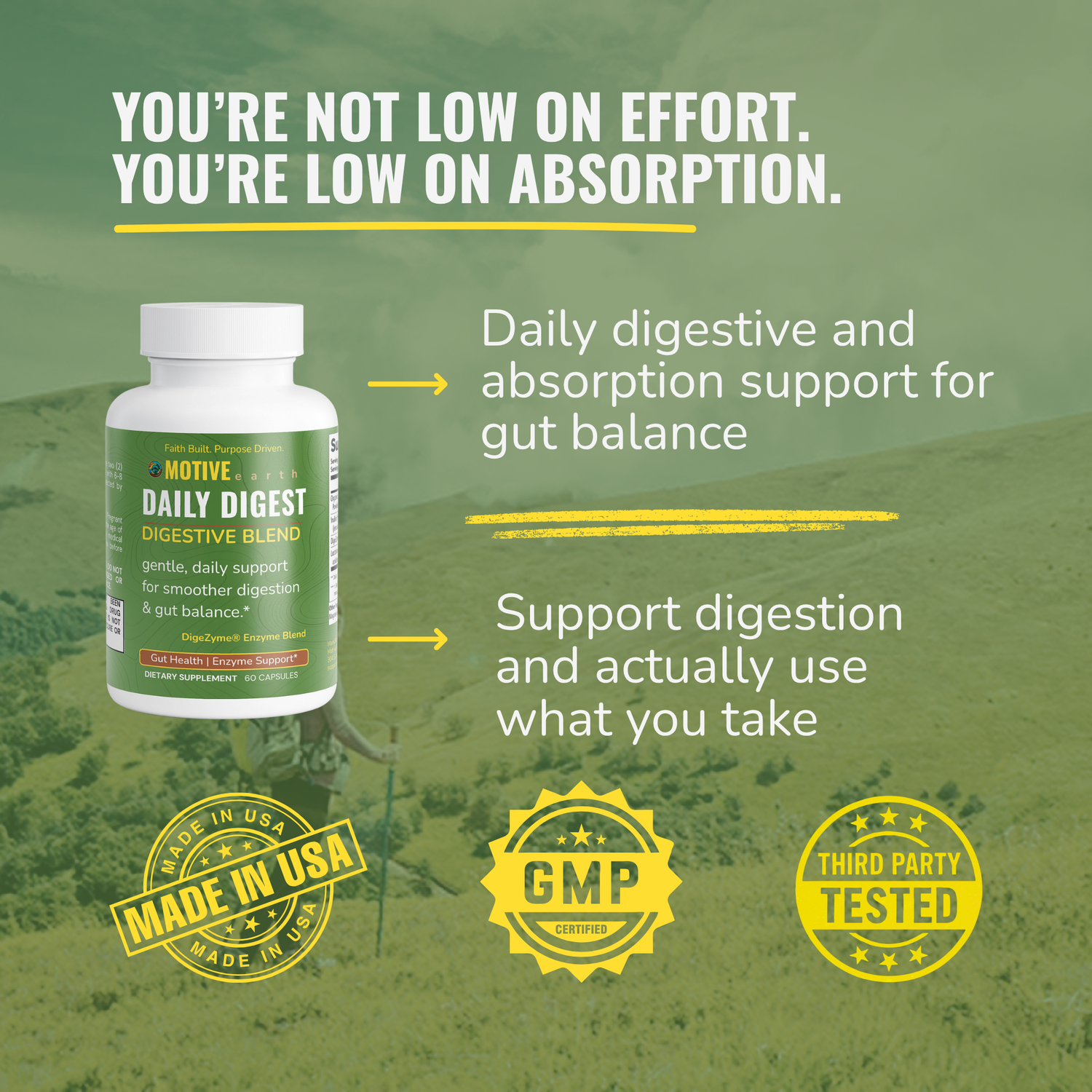 Daily Digest — Gut + Absorption Support
