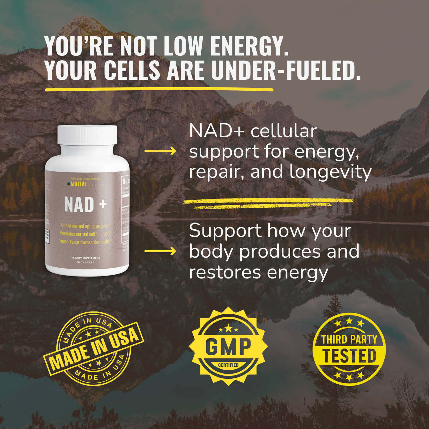 NAD+ — Cellular Energy Support