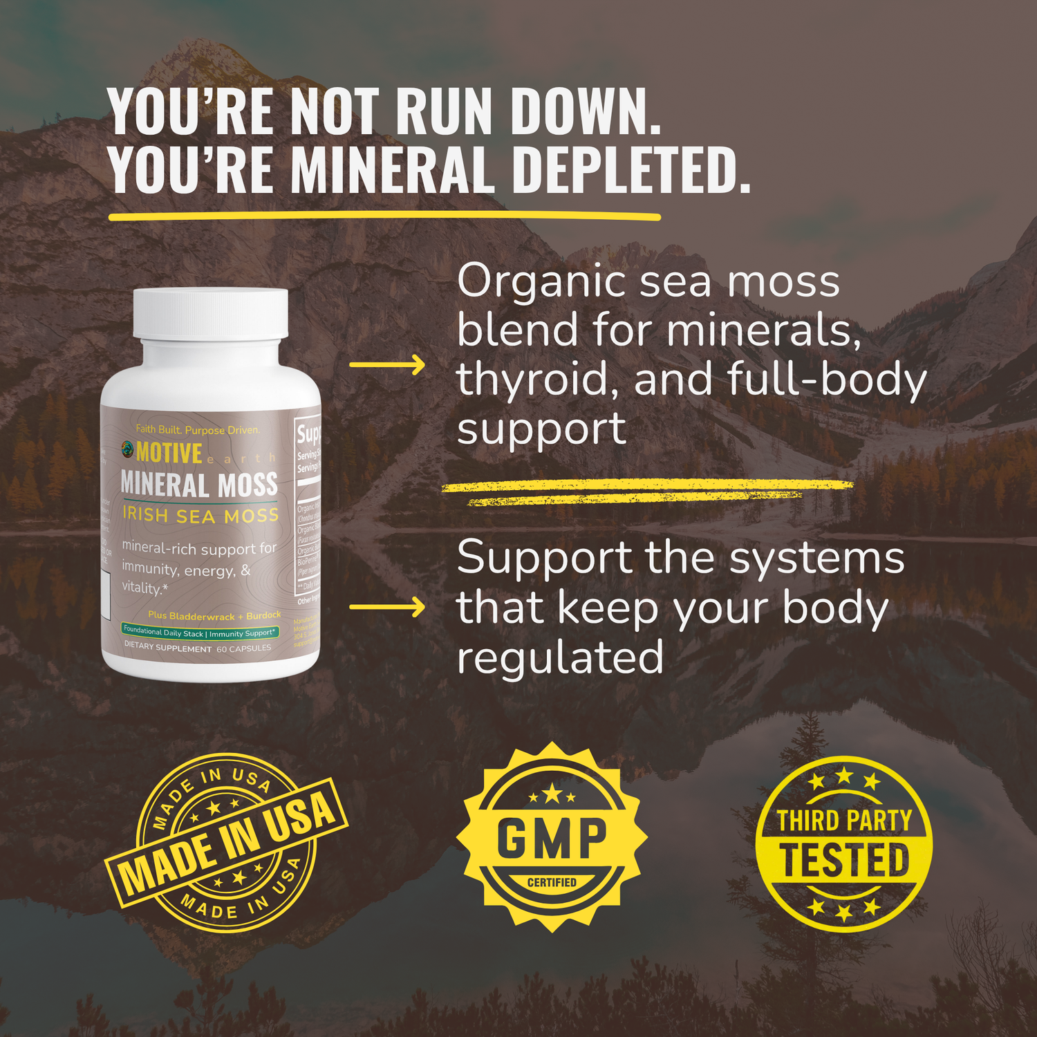 Mineral Moss — Sea Moss Mineral Support
