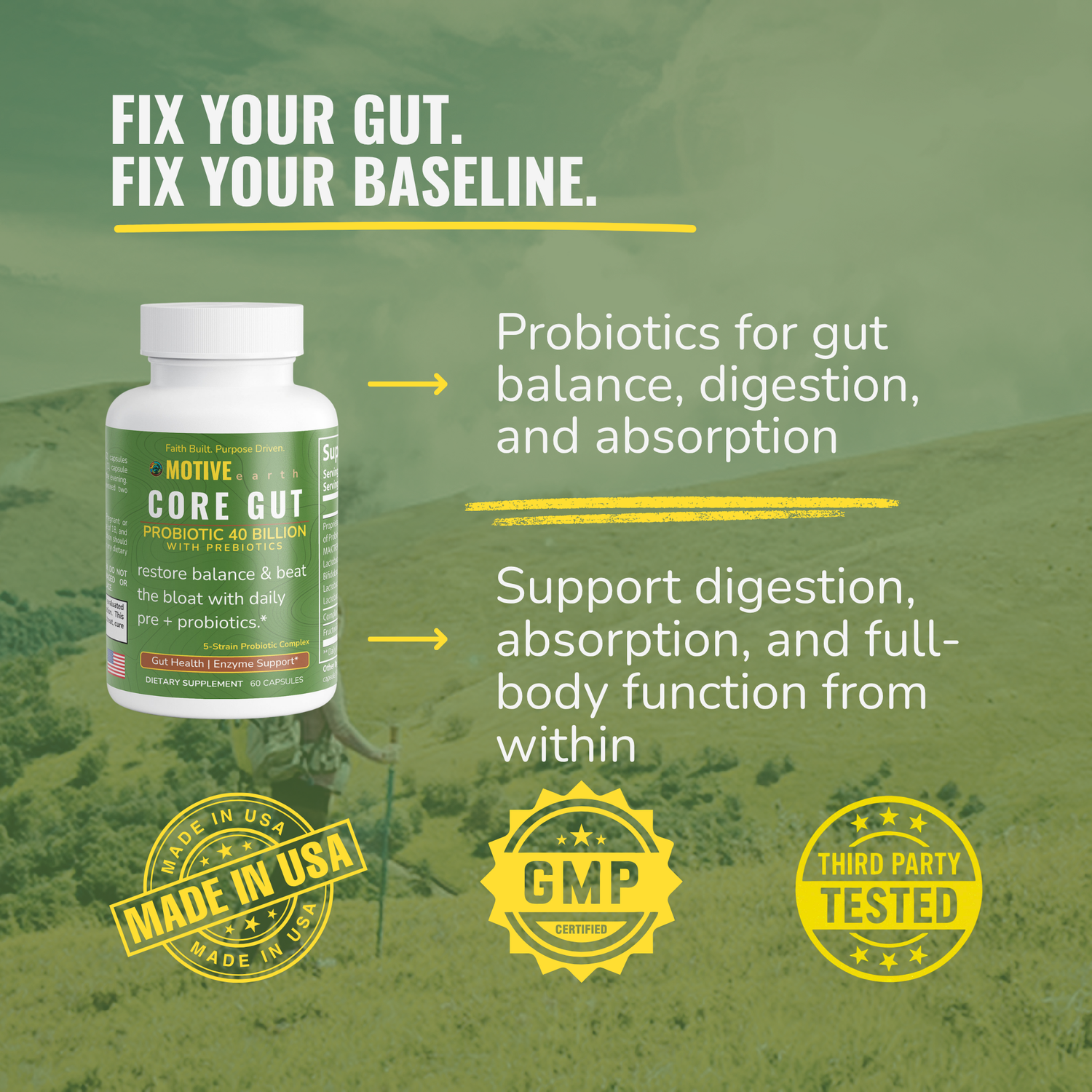 Core Gut — Probiotic + Prebiotic Support