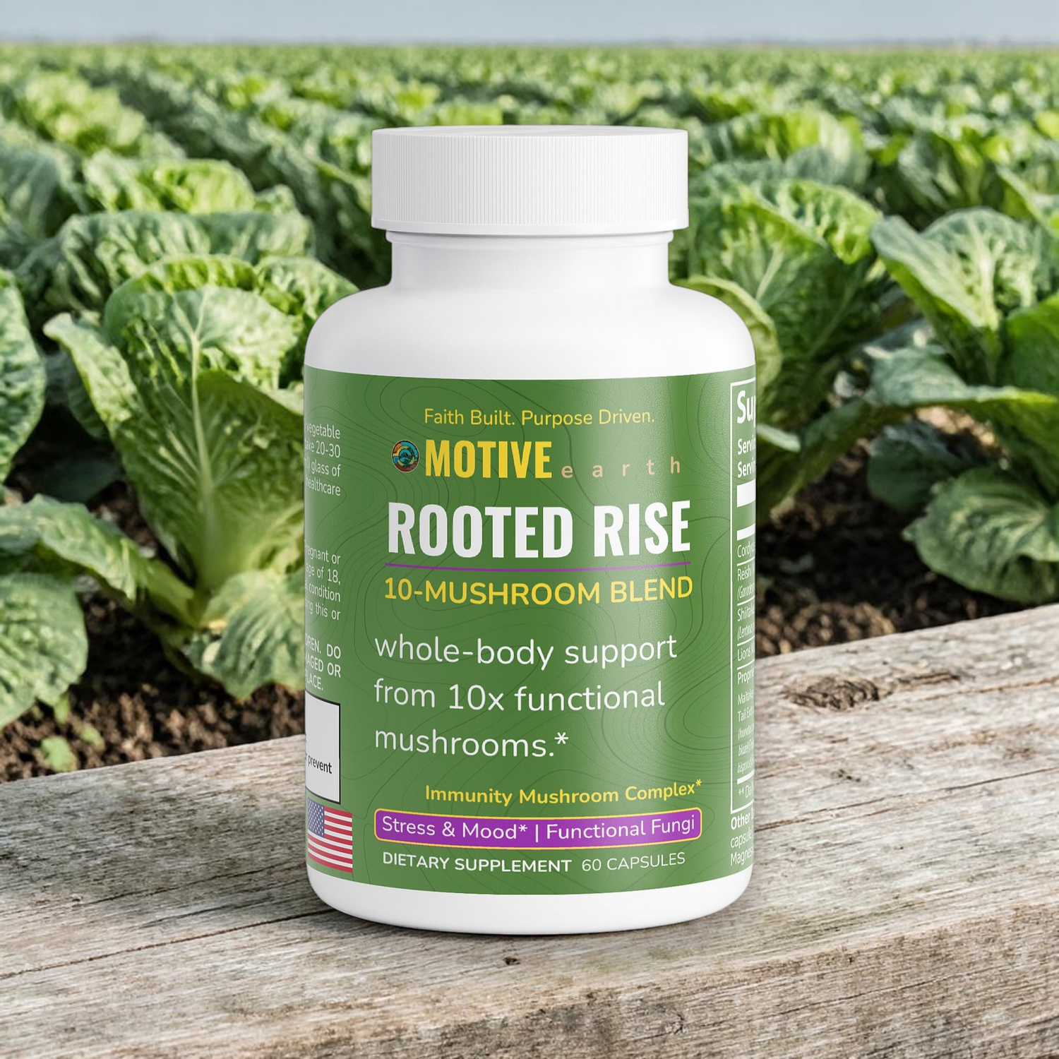 Rooted Rise — 10 Mushroom Adaptogen Blend