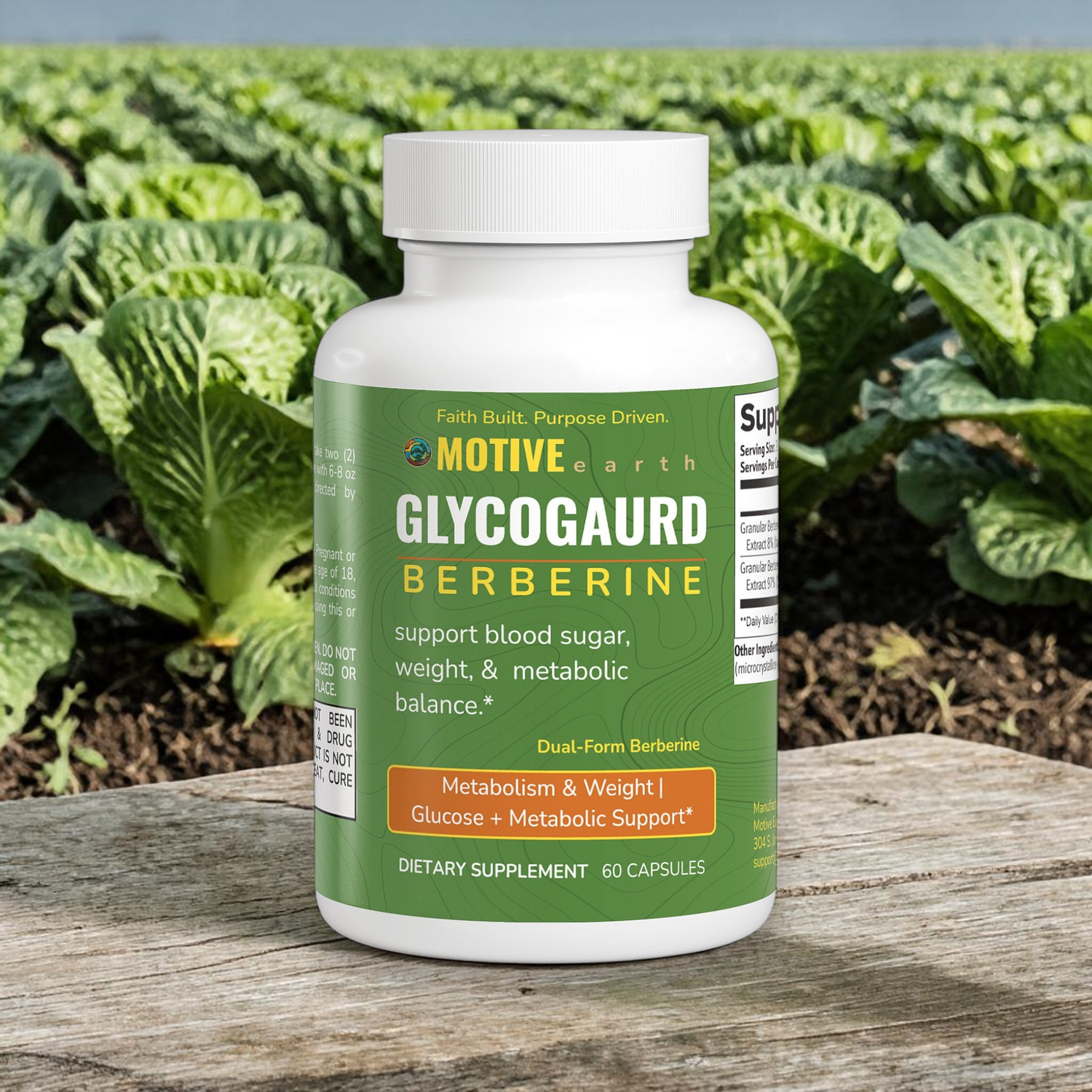 GlycoGuard — Berberine Metabolic Support