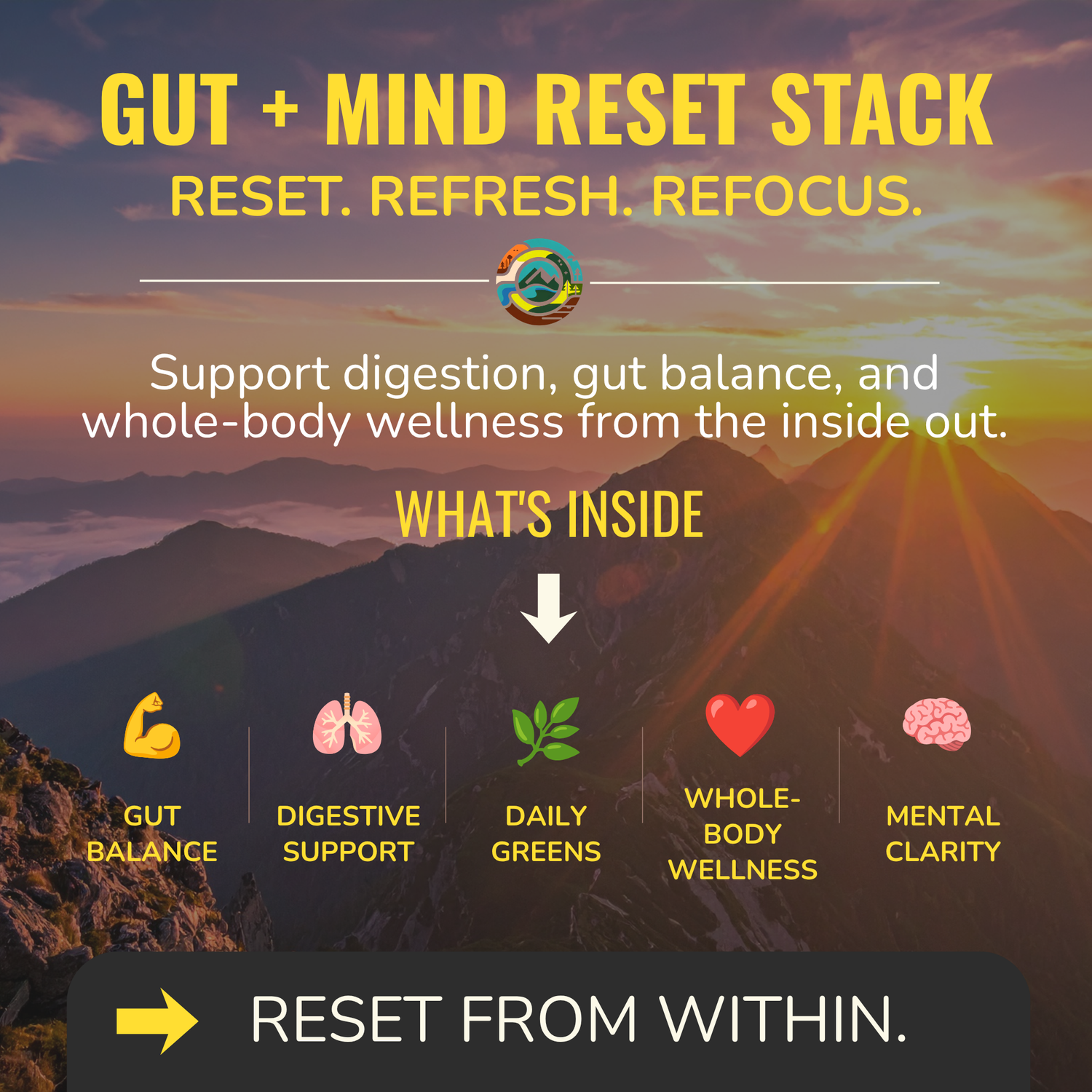 Gut + Mind Reset Stack | Probiotics, Digestive Enzymes & Greens