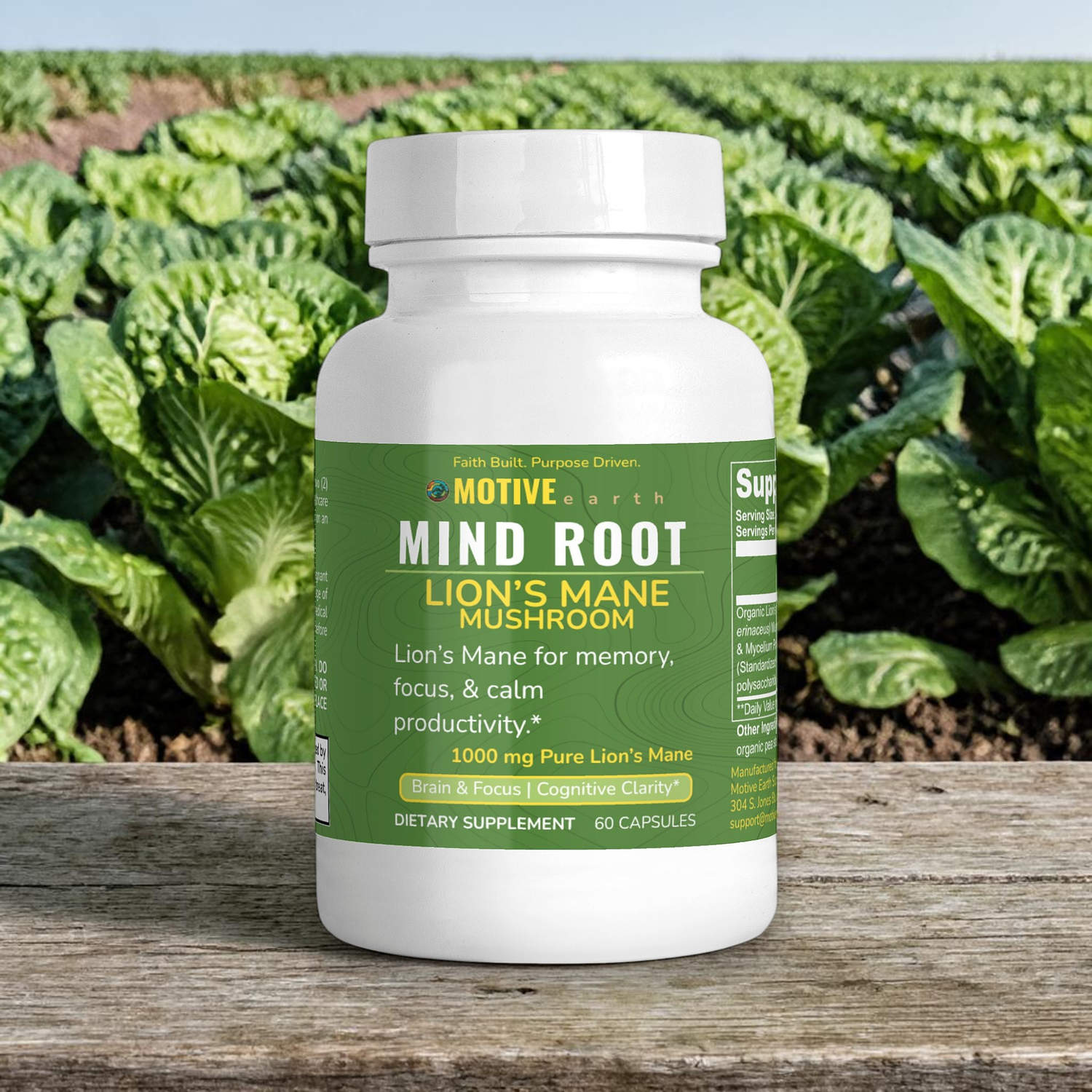 Mind Root — Lion’s Mane Cognitive Support