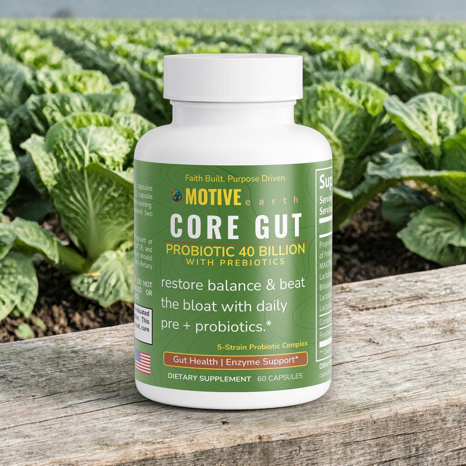Core Gut — Probiotic + Prebiotic Support