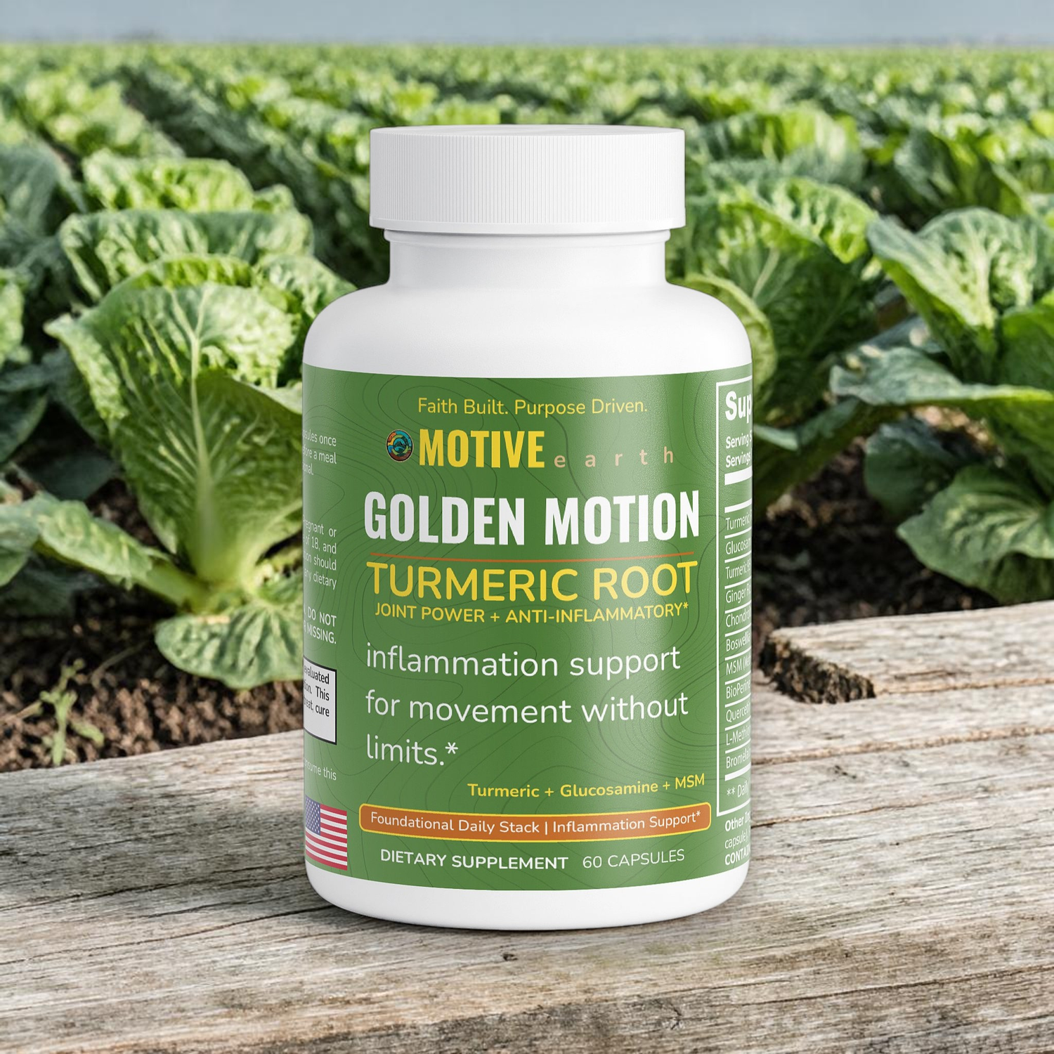 Golden Motion — Joint + Inflammation Support