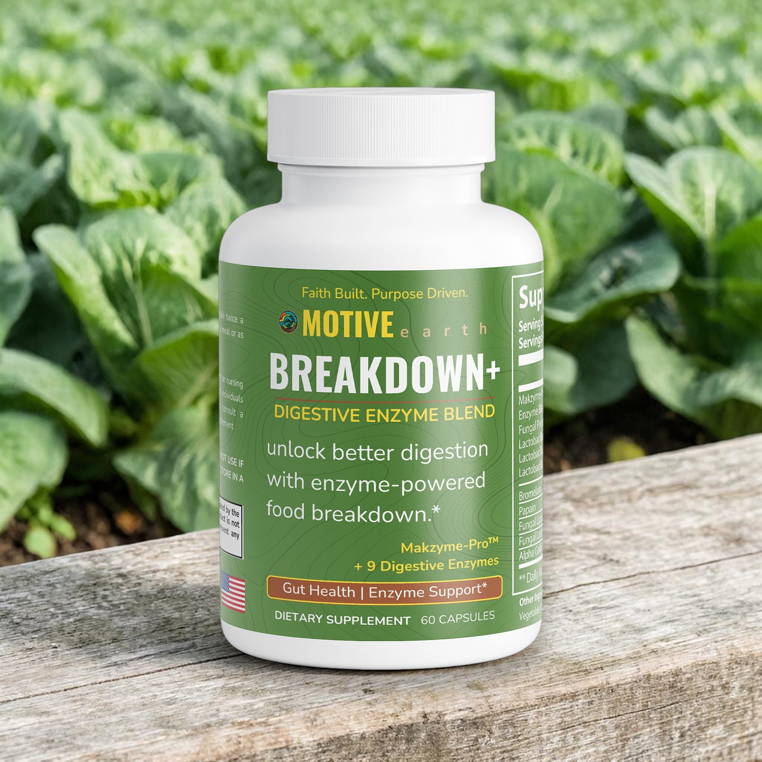 Breakdown+ — Digestive Enzyme Support